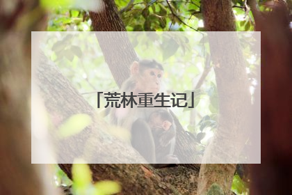 荒林重生记