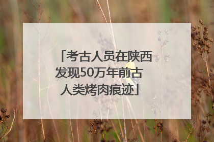 考古人员在陕西发现50万年前古人类烤肉痕迹