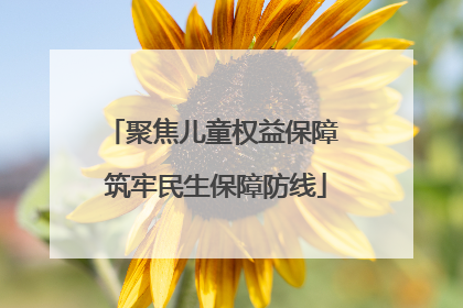 聚焦儿童权益保障 筑牢民生保障防线