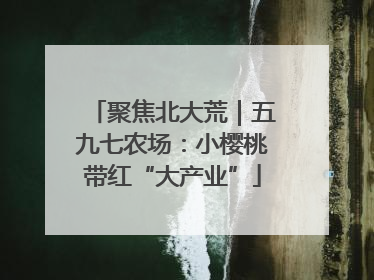 聚焦北大荒｜五九七农场：小樱桃带红“大产业”