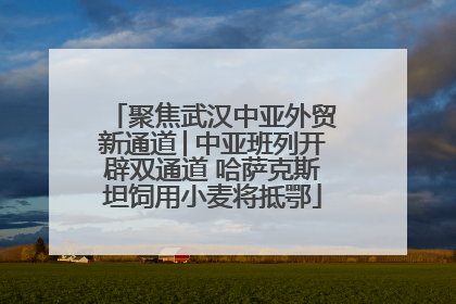 聚焦武汉中亚外贸新通道│中亚班列开辟双通道 哈萨克斯坦饲用小麦将抵鄂