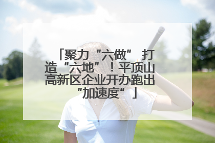 聚力“六做” 打造“六地”！平顶山高新区企业开办跑出“加速度”