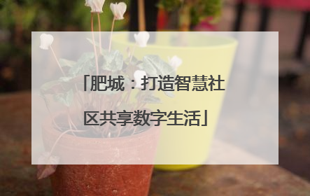 肥城：打造智慧社区共享数字生活