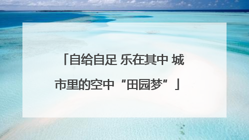 自给自足 乐在其中 城市里的空中“田园梦”