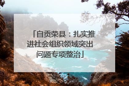 自贡荣县：扎实推进社会组织领域突出问题专项整治