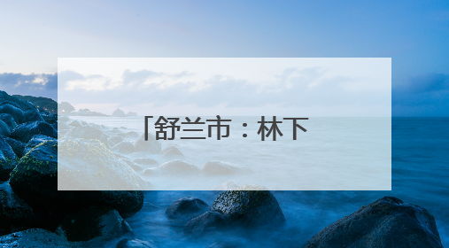 舒兰市：林下养白鹅 “点绿成金”富农家