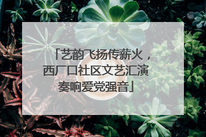 艺韵飞扬传薪火，西厂口社区文艺汇演奏响爱党强音