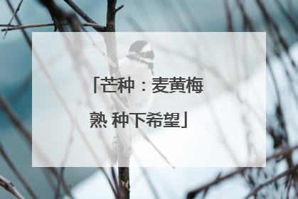 芒种：麦黄梅熟 种下希望