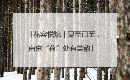 花容悦貌｜夏至已至，南京“荷”处有美韵