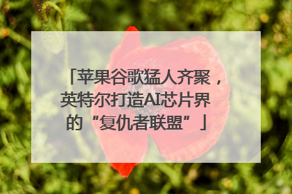 苹果谷歌猛人齐聚，英特尔打造AI芯片界的“复仇者联盟”