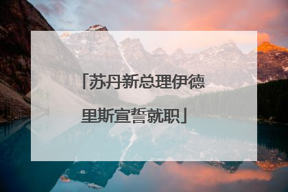 苏丹新总理伊德里斯宣誓就职