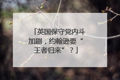 英国保守党内斗加剧，约翰逊要“王者归来”？