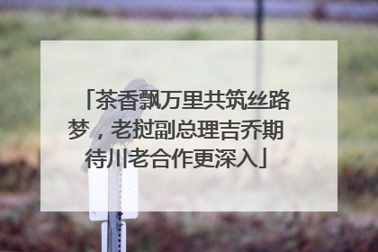茶香飘万里共筑丝路梦，老挝副总理吉乔期待川老合作更深入