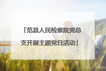 范县人民检察院党总支开展主题党日活动