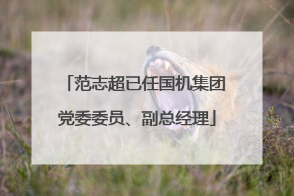 范志超已任国机集团党委委员、副总经理