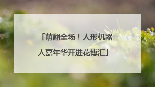 萌翻全场！人形机器人嘉年华开进花博汇
