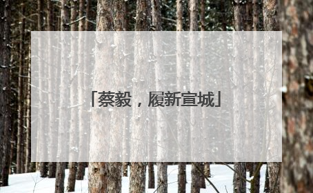 蔡毅，履新宣城