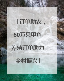 订单助农，60万只甲鱼养殖订单助力乡村振兴