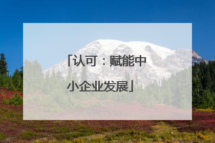 认可：赋能中小企业发展