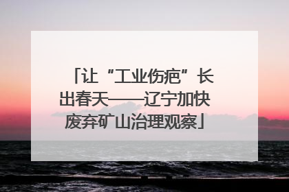 让“工业伤疤”长出春天——辽宁加快废弃矿山治理观察