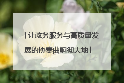 让政务服务与高质量发展的协奏曲响彻大地