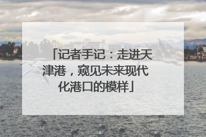 记者手记：走进天津港，窥见未来现代化港口的模样