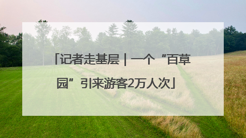 记者走基层｜一个“百草园”引来游客2万人次