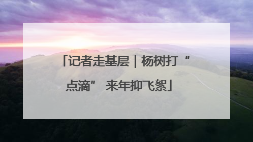 记者走基层｜杨树打“点滴” 来年抑飞絮