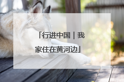 行进中国｜我家住在黄河边
