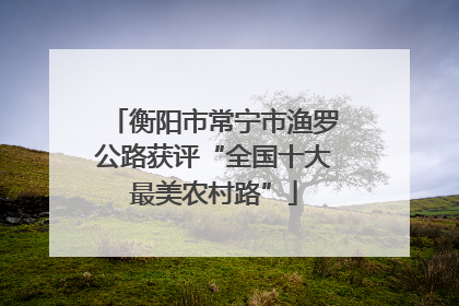 衡阳市常宁市渔罗公路获评“全国十大最美农村路”