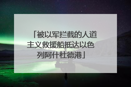 被以军拦截的人道主义救援船抵达以色列阿什杜德港