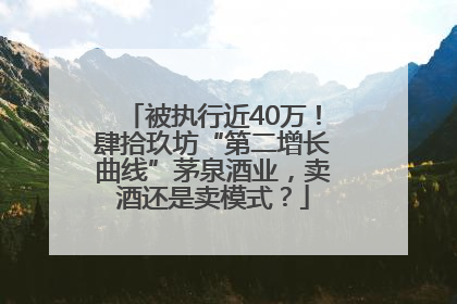 被执行近40万！肆拾玖坊“第二增长曲线”茅泉酒业，卖酒还是卖模式？