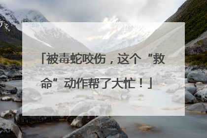 被毒蛇咬伤，这个“救命”动作帮了大忙！