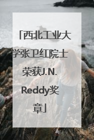 西北工业大学张卫红院士荣获J.N.Reddy奖章