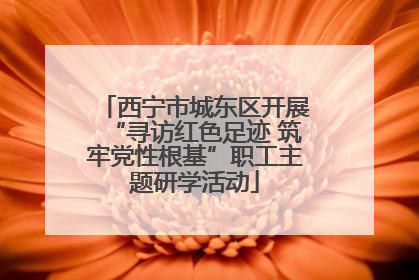 西宁市城东区开展“寻访红色足迹 筑牢党性根基”职工主题研学活动