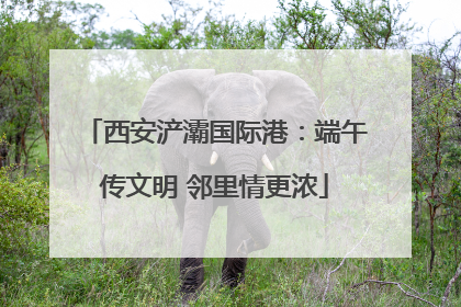 西安浐灞国际港：端午传文明 邻里情更浓