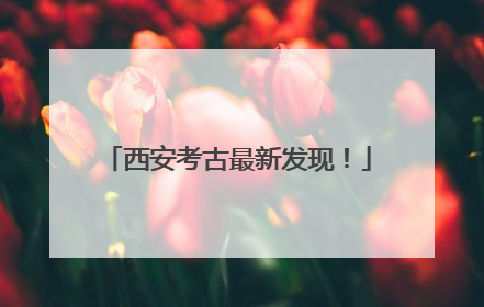 西安考古最新发现！