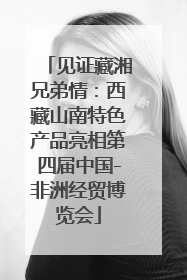 见证藏湘兄弟情：西藏山南特色产品亮相第四届中国-非洲经贸博览会