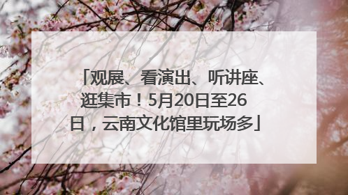 观展、看演出、听讲座、逛集市！5月20日至26日，云南文化馆里玩场多