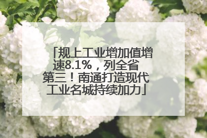 规上工业增加值增速8.1%，列全省第三！南通打造现代工业名城持续加力