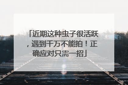 近期这种虫子很活跃，遇到千万不能拍！正确应对只需一招