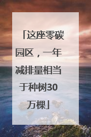 这座零碳园区，一年减排量相当于种树30万棵