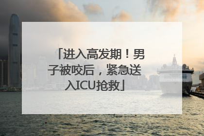 进入高发期！男子被咬后，紧急送入ICU抢救