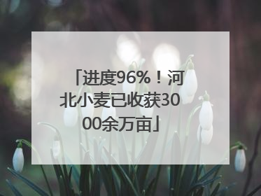 进度96%！河北小麦已收获3000余万亩