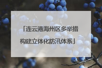 连云港海州区多举措构建立体化防汛体系