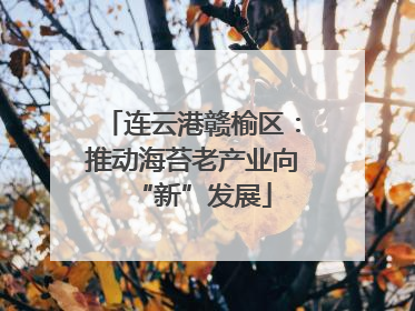 连云港赣榆区：推动海苔老产业向“新”发展
