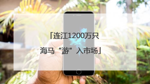 连江1200万只海马“游”入市场