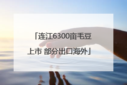 连江6300亩毛豆上市 部分出口海外