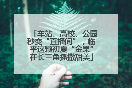 车站、高校、公园秒变“直播间”，临平这颗初夏“金果”在长三角播撒甜美