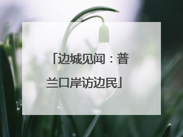 边城见闻：普兰口岸访边民